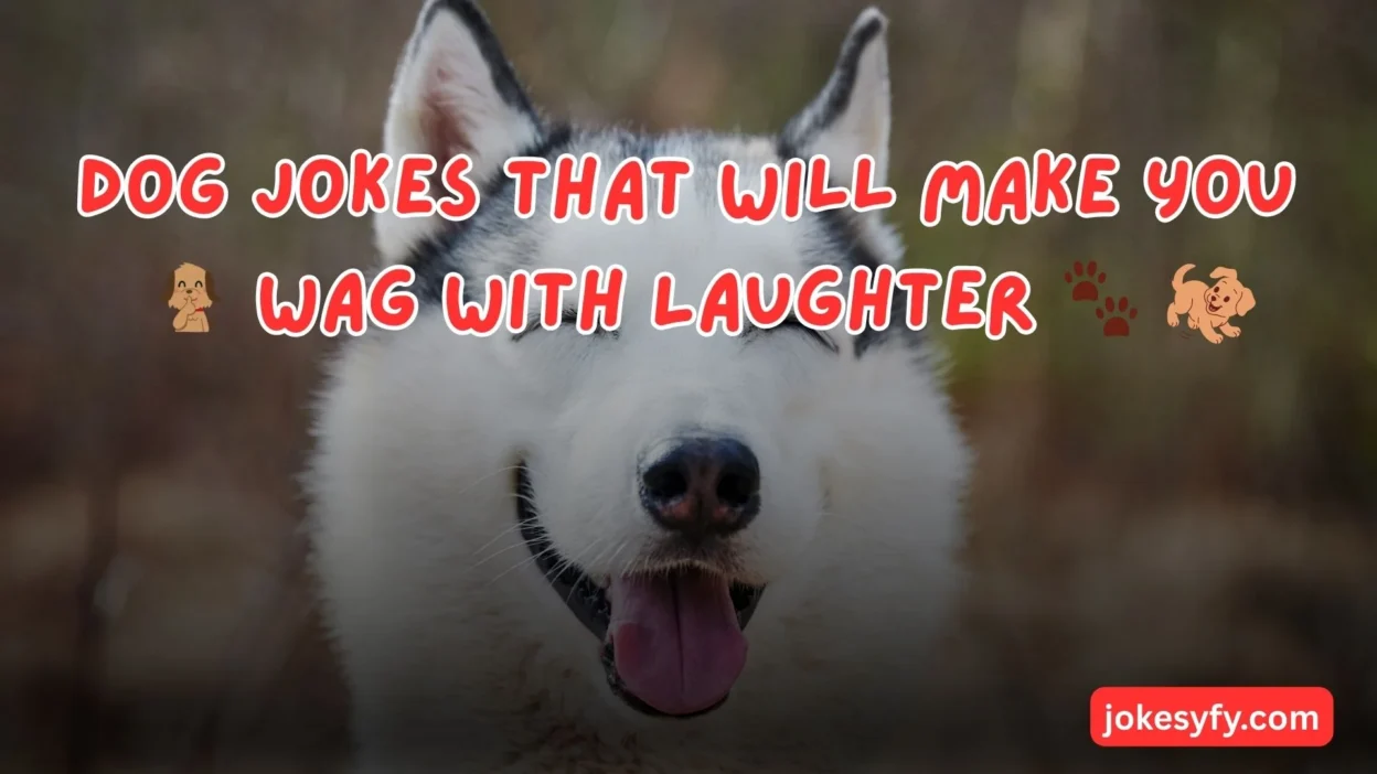Dog Jokes That Will Make You Wag With Laughter 🐾