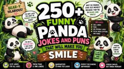 250+ Funny Panda Jokes and Puns That Will Make You Smile